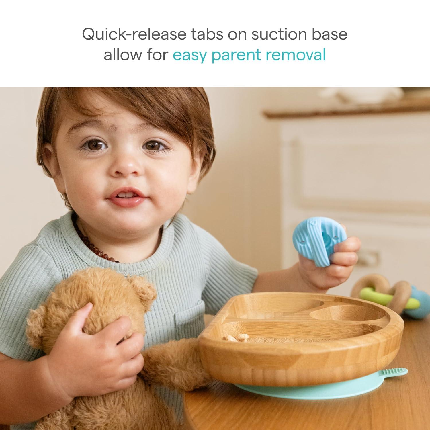 imageMunchkin Bambou Divided Suction Plate  EcoFriendly Bamboo Dinnerware for Babies and Toddlers