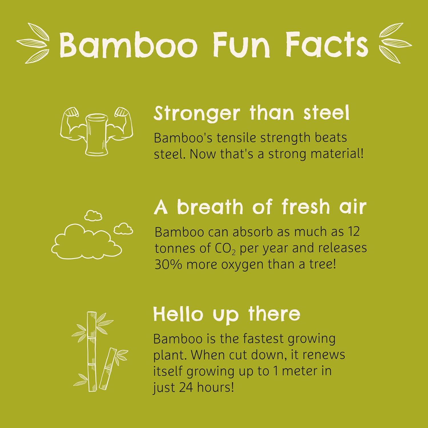 imageMunchkin Bambou Suction Bowl and Silicone Spoon for Babies and Toddlers NonToxic BambooBowl and Spoon