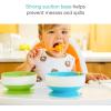imageMunchkin Stay Put Suction Bowls for Baby and Toddler 3 Pack BlueGreenPurple3 Count Pack of 1